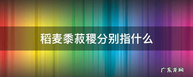稻麦黍菽稷的意思 稻麦黍菽稷分别指什么