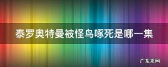 泰罗奥特曼被怪鸟啄死是哪一集 泰罗奥特曼被怪鸟啄死是哪一集的