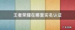 王者荣耀在哪里实名认证微信 王者荣耀在哪里实名认证