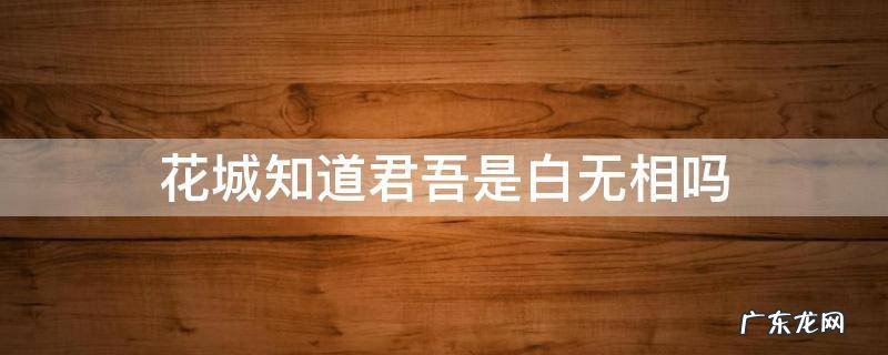 花城知道君吾是白无相吗 白无相与花城