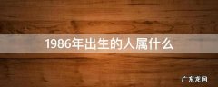 1986年出生的人属相是什么 1986年出生的人属什么