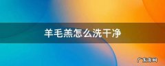 羊毛羔要怎么洗 羊毛羔怎么洗干净