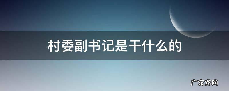 村委副书记是干什么的 村委副书记是什么职位