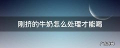 刚挤的牛奶怎么处理才能喝 刚挤的纯牛奶怎么处理