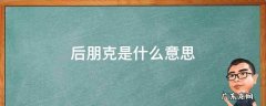 后朋克是什么意思? 后朋克是什么意思