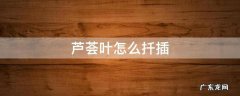 芦荟叶怎么扦插 芦荟叶如何扦插
