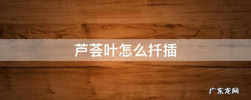 芦荟叶怎么扦插 芦荟叶如何扦插