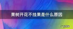 果树不开花的原因 果树开花不挂果是什么原因