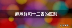 十三香和十三香麻辣鲜有什么区别 麻辣鲜和十三香的区别