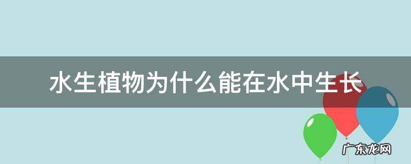 水生植物为什么能在水中生长 为什么植物可以在水中生长