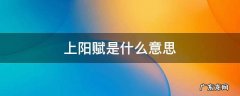 上阳赋是什么意思 上阳赋为什么叫上阳赋