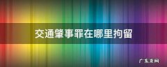 交通肇事罪在哪里拘留 交通肇事罪被拘留