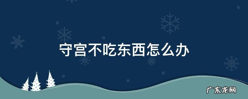 豹纹守宫不吃东西怎么办 守宫不吃东西怎么办