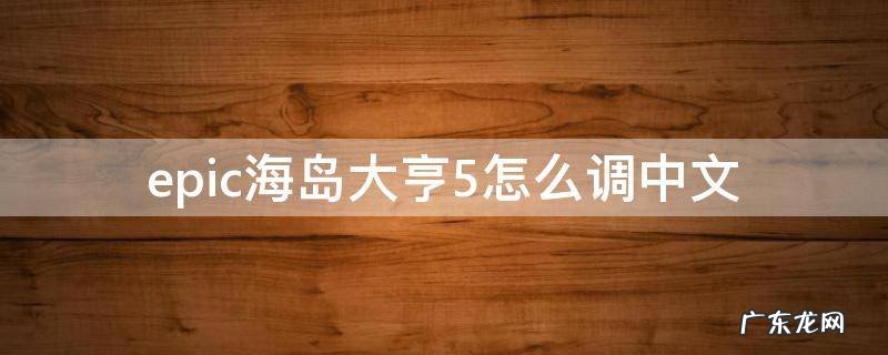 epic海岛大亨5怎么调中文 epic海岛大亨5怎么把语言改成中文