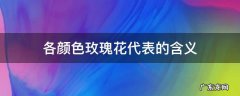 各颜色玫瑰花代表的含义 不同颜色玫瑰花代表的含义