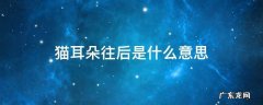 猫的耳朵往后倒是什么意思 猫耳朵往后是什么意思