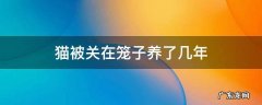 养猫长期关在笼子里可以吗 猫被关在笼子养了几年