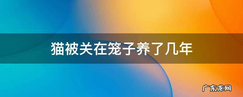 养猫长期关在笼子里可以吗 猫被关在笼子养了几年