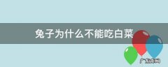兔子为什么不能吃白菜 兔子不可以吃白菜吗