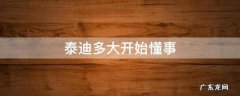 泰迪多大开始懂事 泰迪几岁开始懂事
