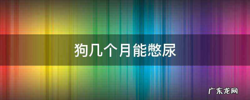 狗狗几个月才能憋尿 狗几个月能憋尿