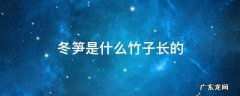 冬笋是什么竹子长的 冬笋是什么竹子长得