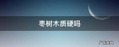 枣树木质硬吗 枣树硬度怎么样