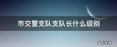 市交警支队支队长什么级别 地级市交警支队支队长什么级别