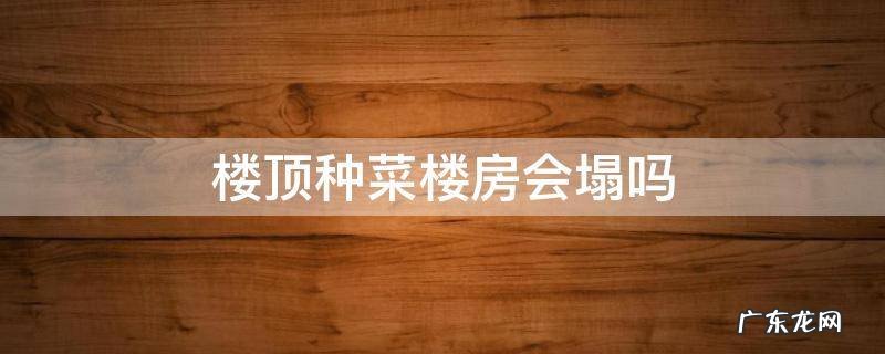 楼顶种菜楼房会塌吗 自建房楼顶种菜楼房会塌吗