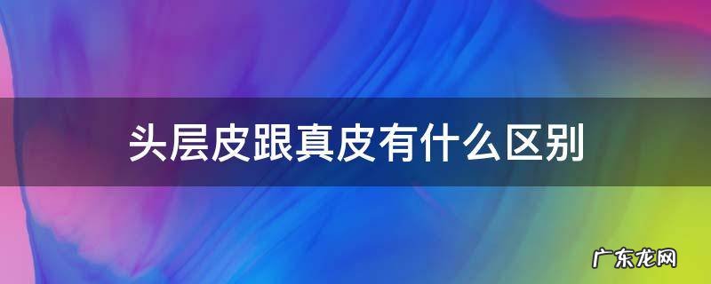 头层真皮和仿真皮的区别 头层皮跟真皮有什么区别