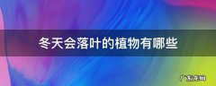 冬天会落叶的植物有哪些 冬天会落叶的植物有哪些树