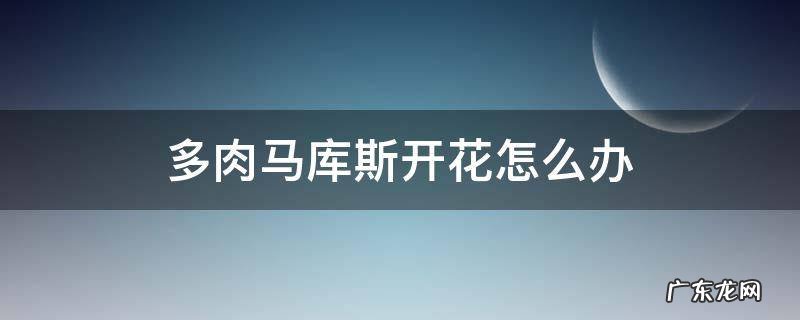 多肉马库斯开花怎么办 马库斯多肉怎么才会出状态