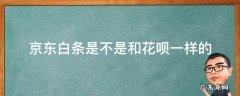 京东白条是不是和花呗一样的 京东白条是不是和花呗差不多