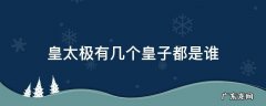 皇太极有几个皇子都是谁 皇太极有几个皇子都是谁生的