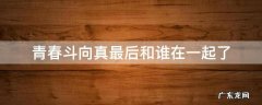 青春斗向真最后跟谁在一起了 青春斗向真最后和谁在一起了