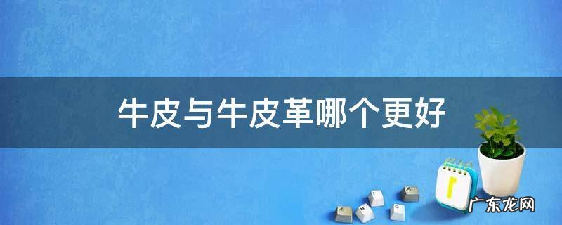 牛皮革和皮质哪个好 牛皮与牛皮革哪个更好