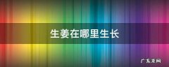 生姜一般生长在什么地方 生姜在哪里生长