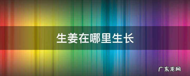 生姜一般生长在什么地方 生姜在哪里生长
