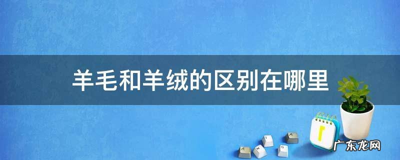 羊毛和羊绒的区别在哪里 羊绒与羊毛的区别在哪里