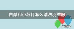 白醋小苏打洗羽绒服正确方法 白醋和小苏打怎么清洗羽绒服