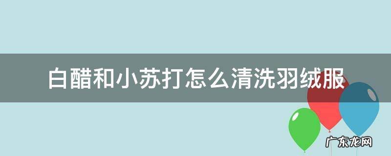 白醋小苏打洗羽绒服正确方法 白醋和小苏打怎么清洗羽绒服