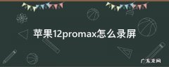 苹果12promax怎么录屏 苹果12promax怎么录屏带声音
