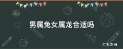 男属兔女属龙合适吗 属兔的女跟属龙的男合适吗