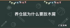 养仓鼠不用木屑行不行 养仓鼠为什么要放木屑