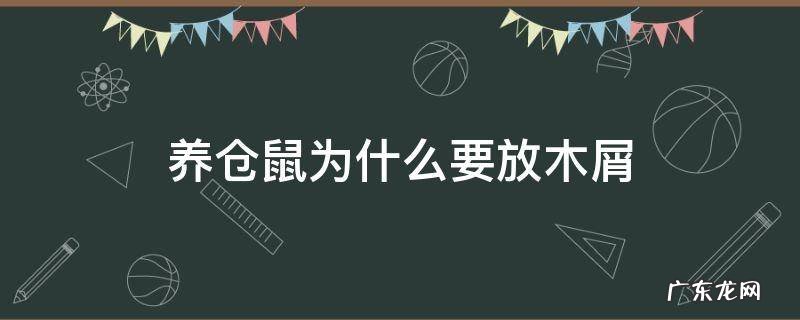 养仓鼠不用木屑行不行 养仓鼠为什么要放木屑