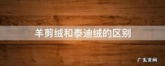 羊羔绒和泰迪绒的区别 羊剪绒和泰迪绒的区别
