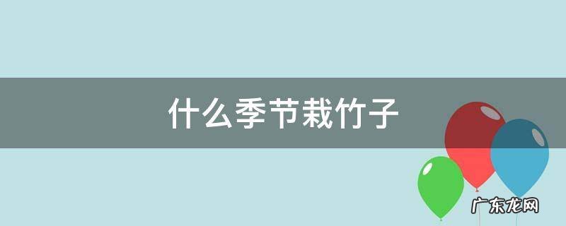 什么季节栽竹子 什么季节栽种竹子