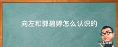 向佐女朋友是郭碧婷吗 向左和郭碧婷怎么认识的