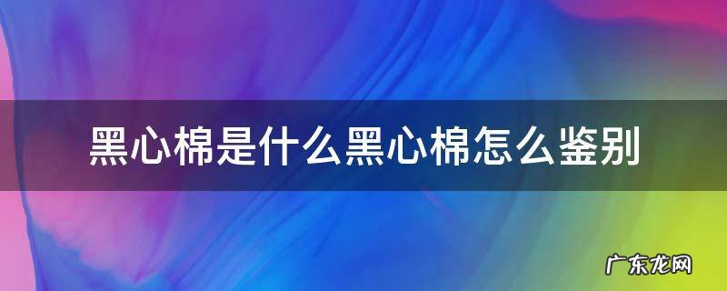 黑心棉是什么黑心棉怎么鉴别 黑心棉怎么辨别