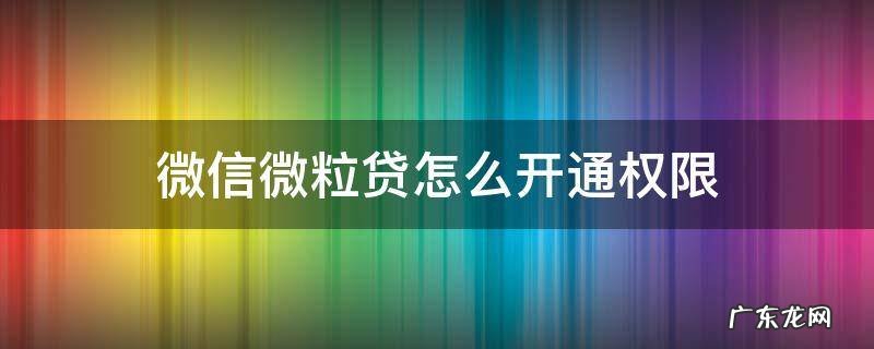 微信怎么才有微粒贷权限 微信微粒贷怎么开通权限